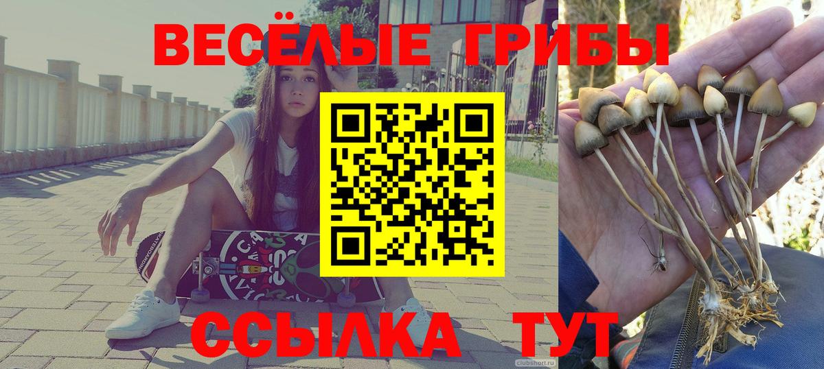 Галлюциногенные грибы Magic Shrooms Ртищево