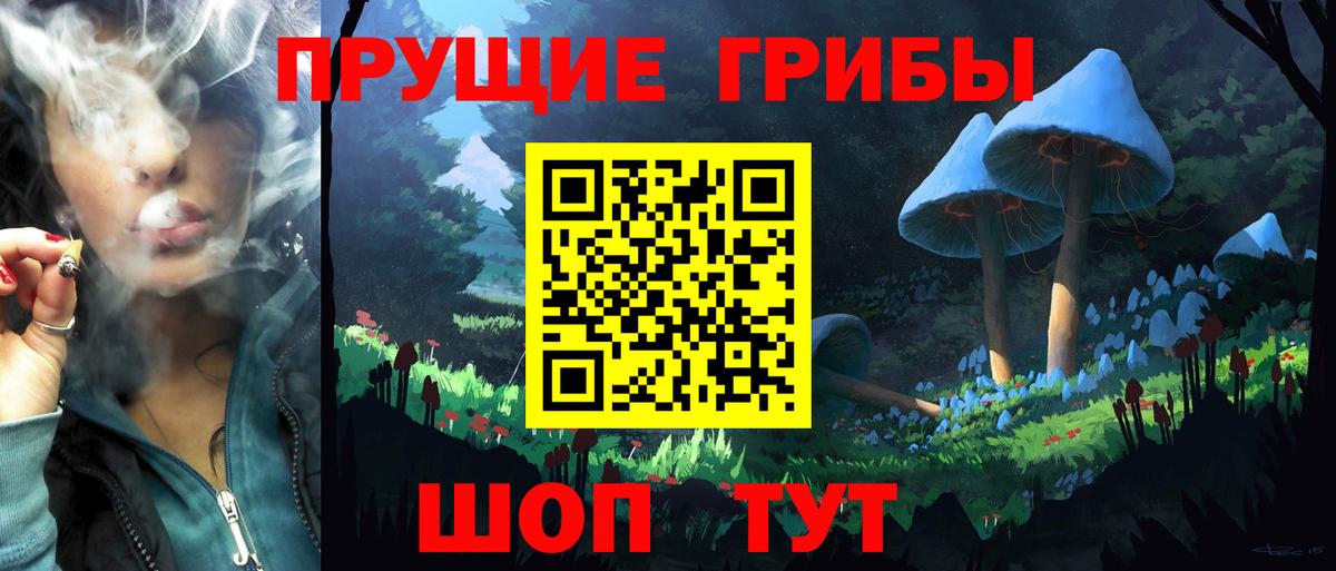 Галлюциногенные грибы GOLDEN TEACHER  Вход с VPN  Ртищево 